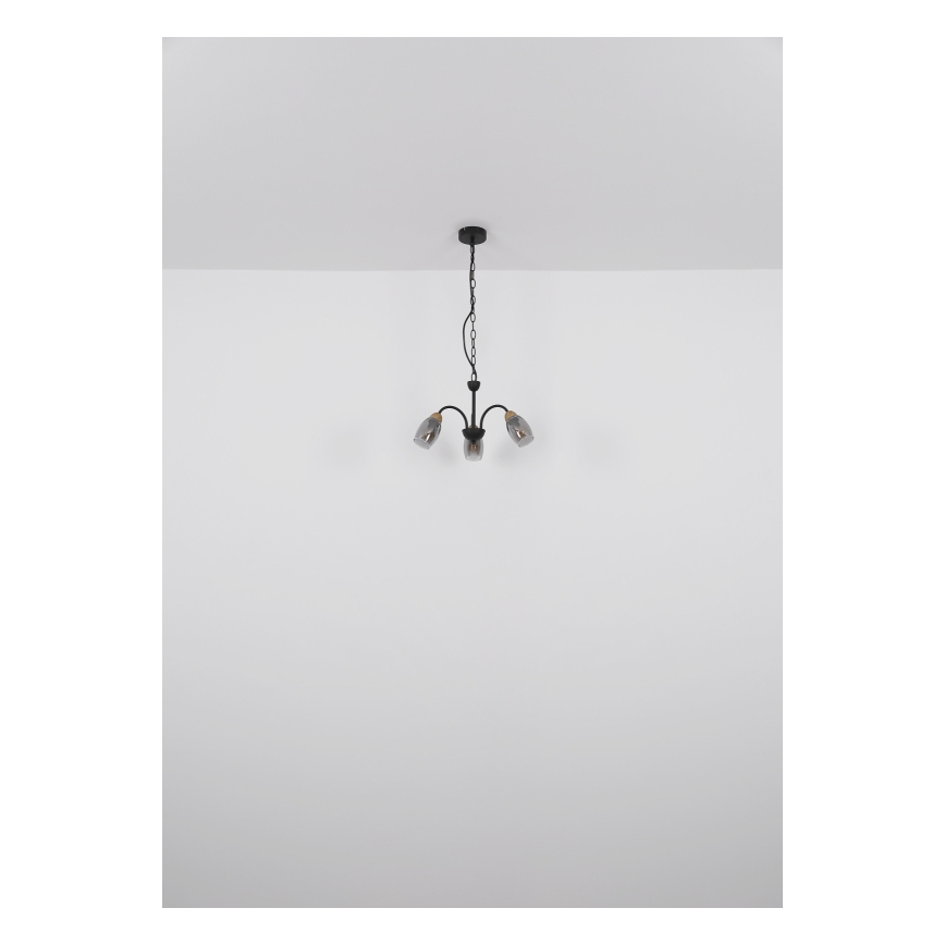 Globo - Candelabro suspenso 3xE14/25W/230V