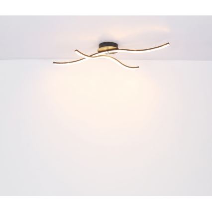 Globo - Candelabro montado à superfície LED LED/20W/230V