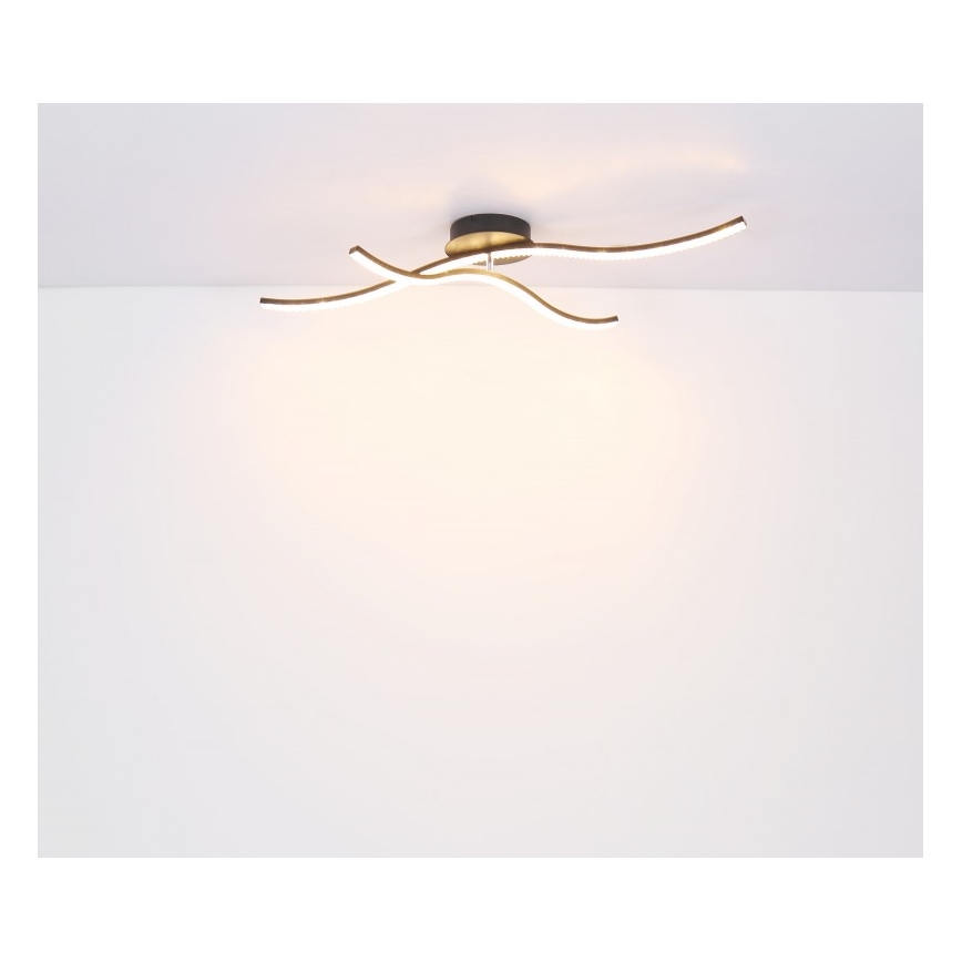 Globo - Candelabro montado à superfície LED LED/20W/230V