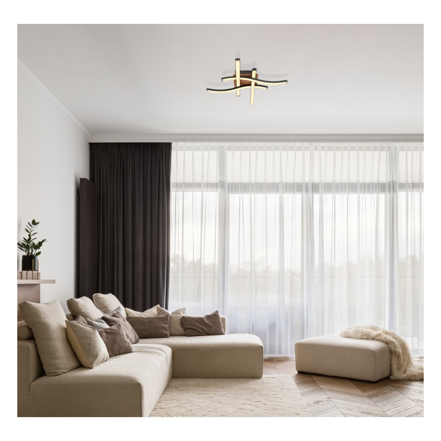Globo - Candelabro montado à superfície LED 4xLED/5W/230V
