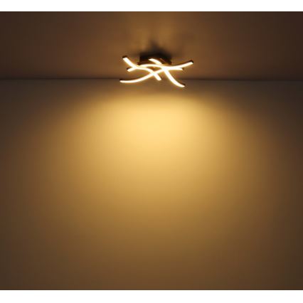 Globo - Candelabro montado à superfície LED 4xLED/5W/230V