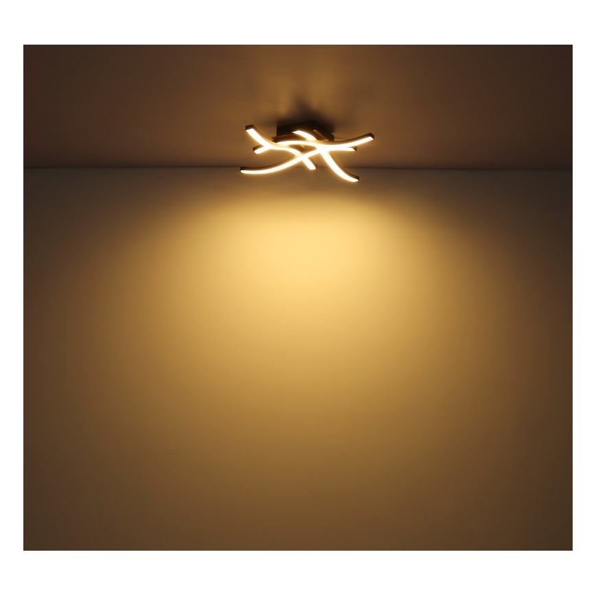 Globo - Candelabro montado à superfície LED 4xLED/5W/230V