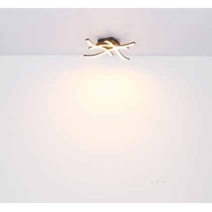 Globo - Candelabro montado à superfície LED 4xLED/5W/230V
