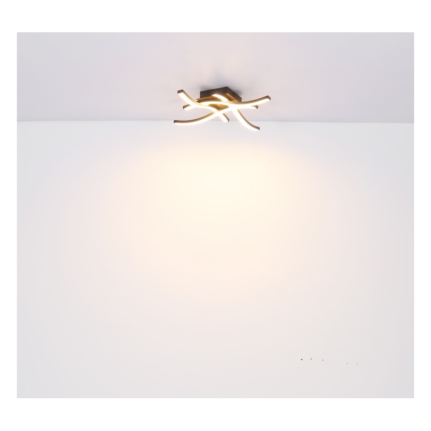 Globo - Candelabro montado à superfície LED 4xLED/5W/230V