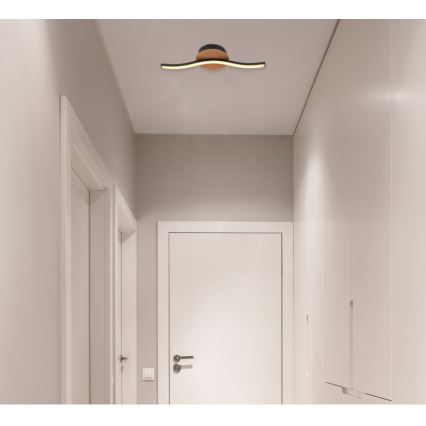 Globo - Iluminação de teto LED LED/6W/230V