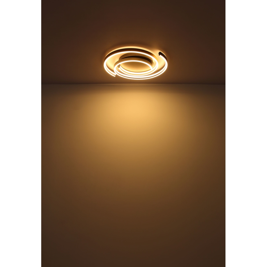 Globo - Iluminação de teto LED LED/38W/230V