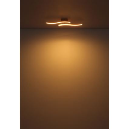 Globo - Candeeiro  integrado LED LED/12W/230V 3000K branco