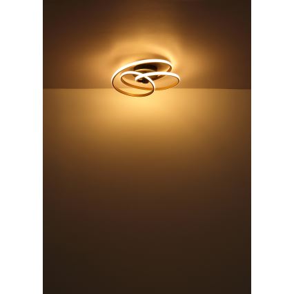 Globo - Candeeiro  integrado LED LED/40W/230V 3000K cromado mate/preto