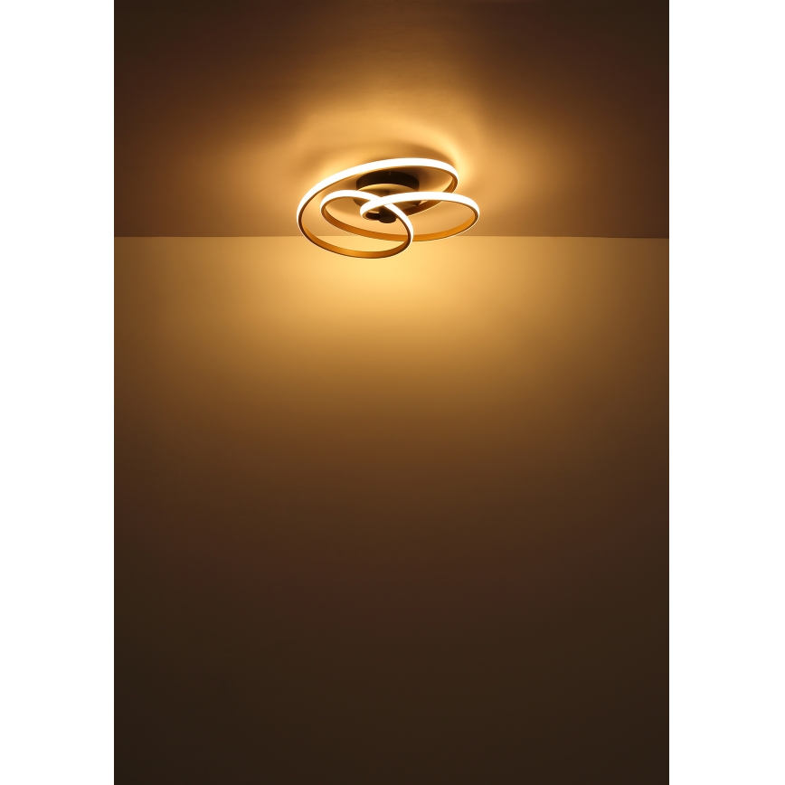 Globo - Candeeiro  integrado LED LED/40W/230V 3000K cromado mate/preto
