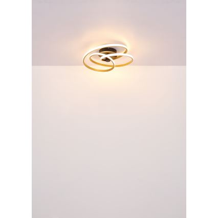 Globo - Candeeiro  integrado LED LED/40W/230V 3000K cromado mate/preto
