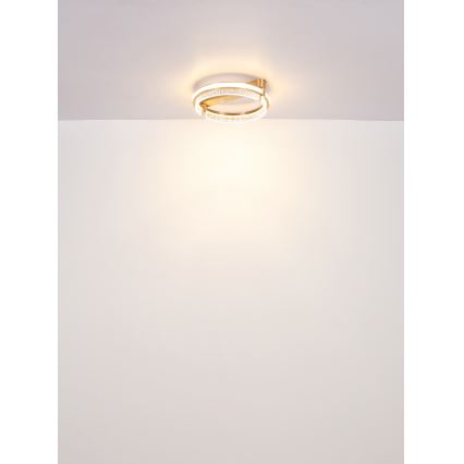 Globo - Iluminação de teto LED de cristal com regulação LED/36W/230V 2700K-6000K + comando