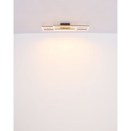 Globo - Iluminação de teto LED LED/30W/230V 3000K 60x80 cm preto