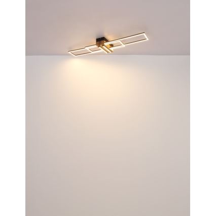 Globo - Iluminação de teto LED LED/40W/230V 3000K 25x100 cm preto
