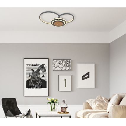 Globo - Iluminação de teto LED LED/40W/230V