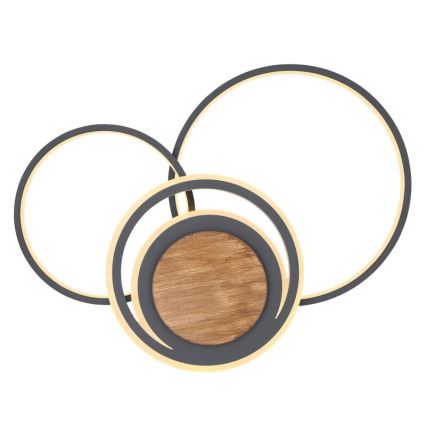 Globo - Iluminação de teto LED LED/40W/230V