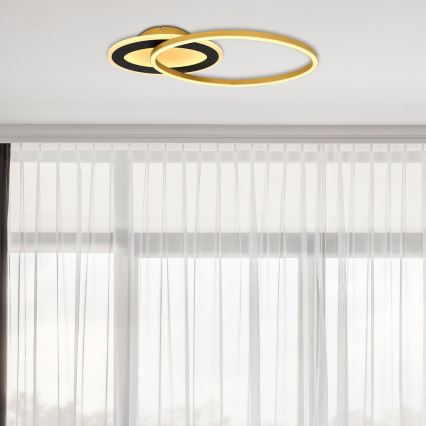 Globo - Candelabro montado à superfície LED LED/24W/230V