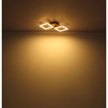 Globo - Candelabro integrado LED KERRY LED/18W/230V