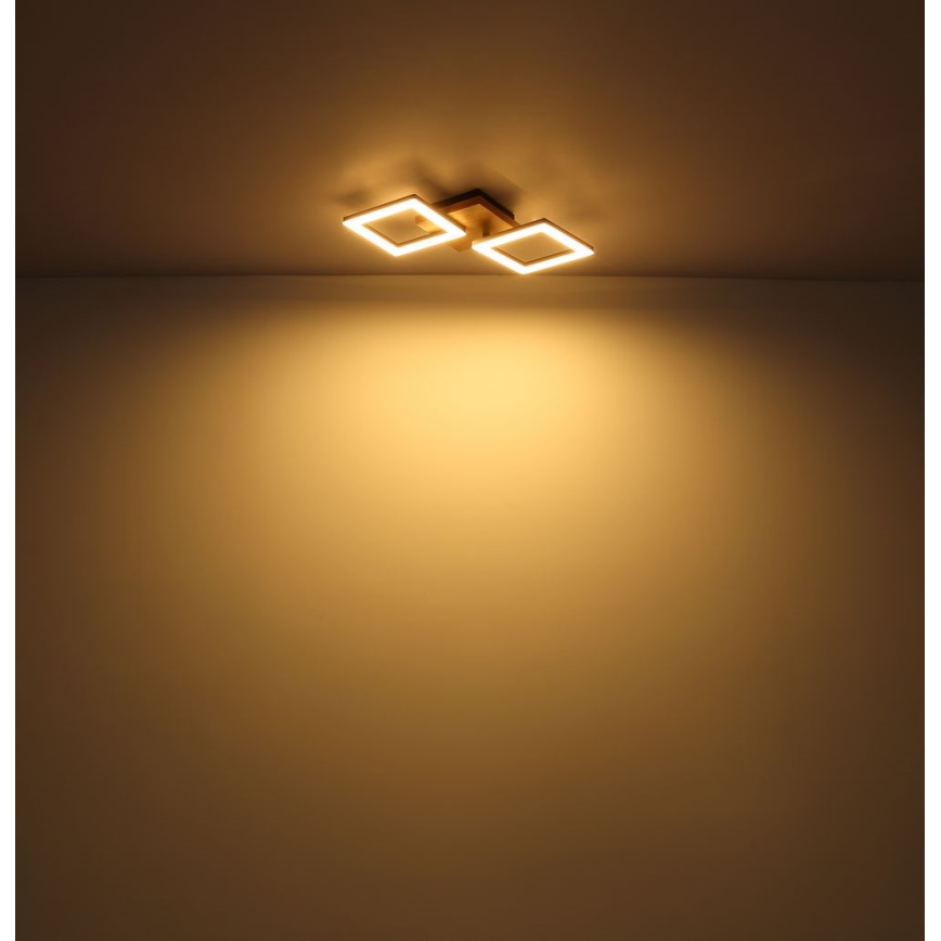 Globo - Candelabro integrado LED KERRY LED/18W/230V