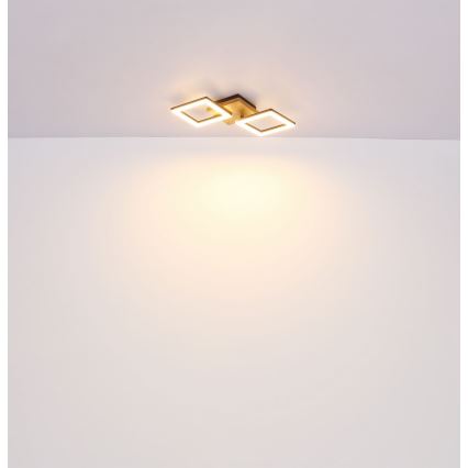 Globo - Candelabro integrado LED KERRY LED/18W/230V