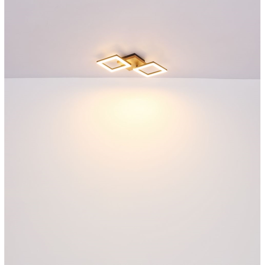 Globo - Candelabro integrado LED KERRY LED/18W/230V