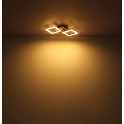 Globo - Candelabro integrado LED KERRY LED/30W/230V