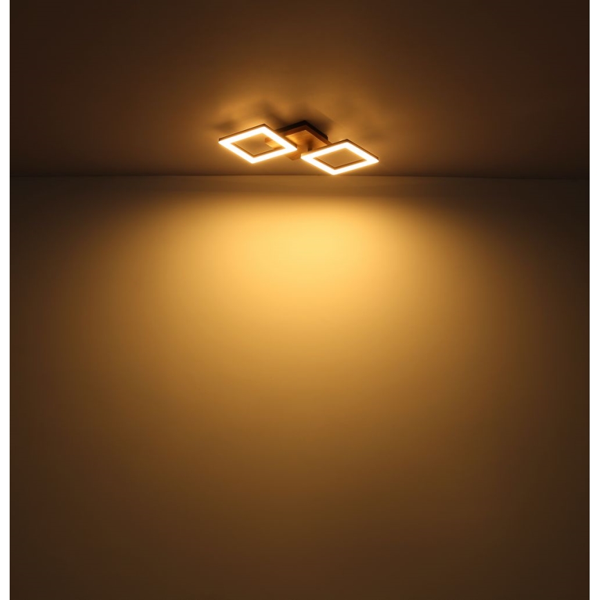 Globo - Candelabro integrado LED KERRY LED/30W/230V