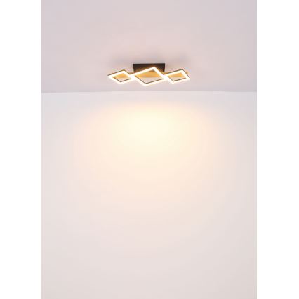 Globo - Iluminação de teto LED LED/29W/230V