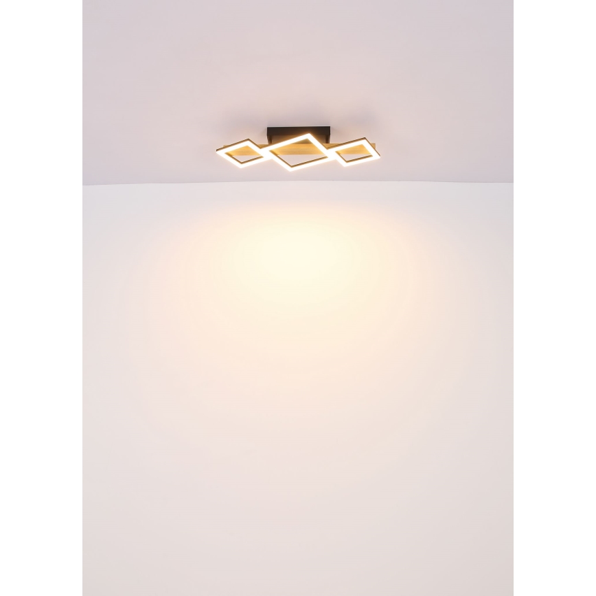 Globo - Iluminação de teto LED LED/29W/230V