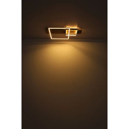 Globo 67289D1 - Candeeiro de tecto LED VANNI LED/24W/230V 40x75 cm castanho/preto