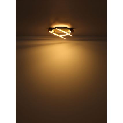 Globo - Iluminação de teto LED LED/32W/230V