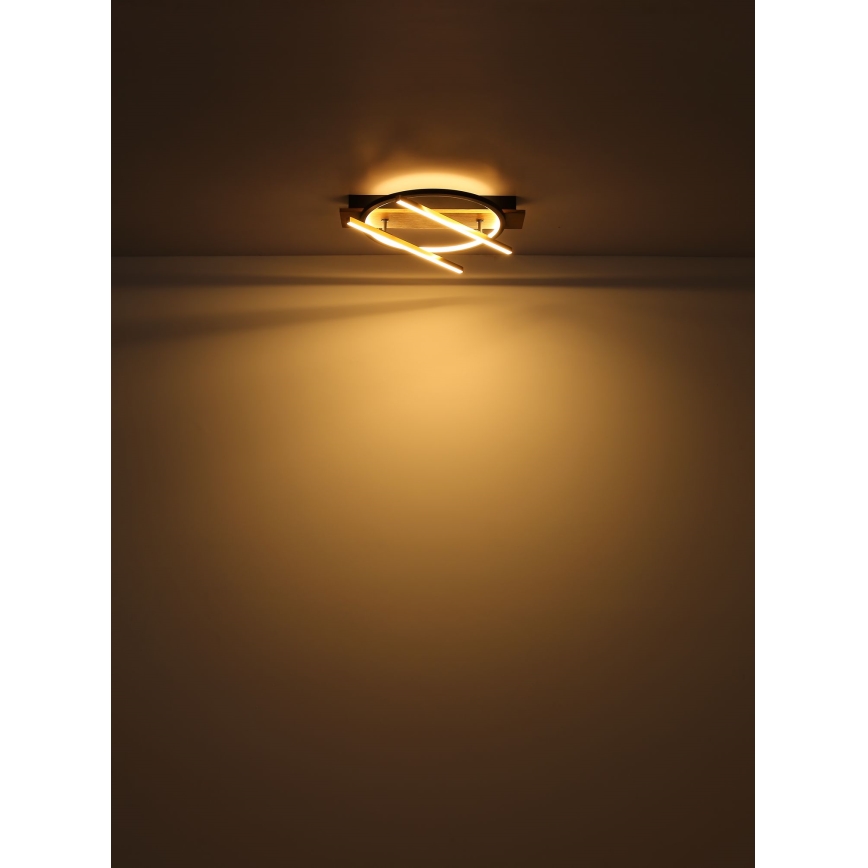 Globo - Iluminação de teto LED LED/32W/230V