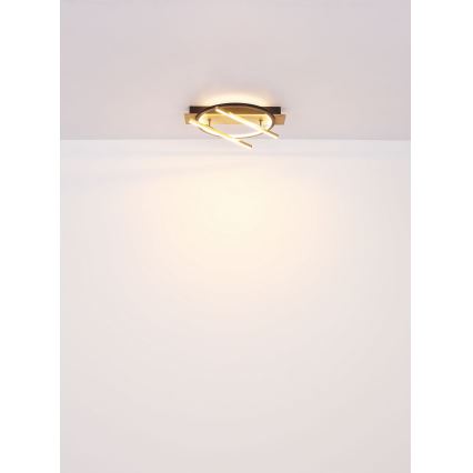 Globo - Iluminação de teto LED LED/32W/230V