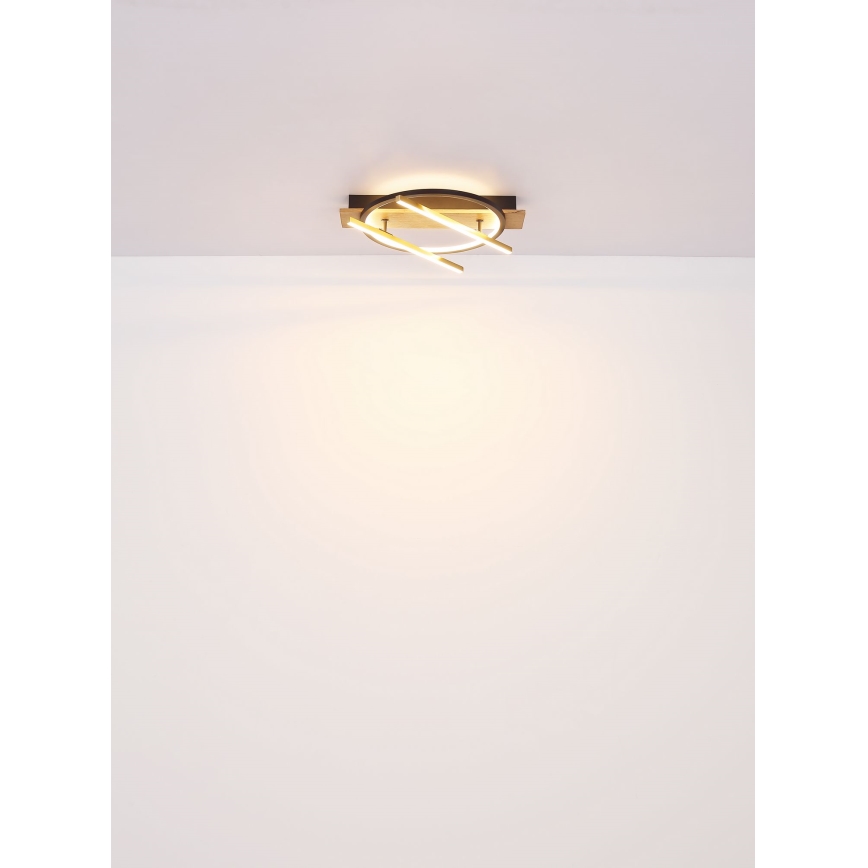 Globo - Iluminação de teto LED LED/32W/230V
