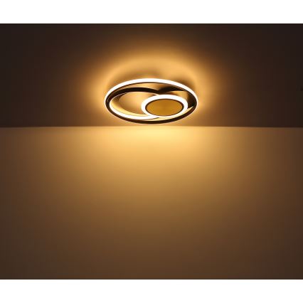Globo - Iluminação de teto LED LED/24W/230V