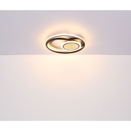 Globo - Iluminação de teto LED LED/24W/230V