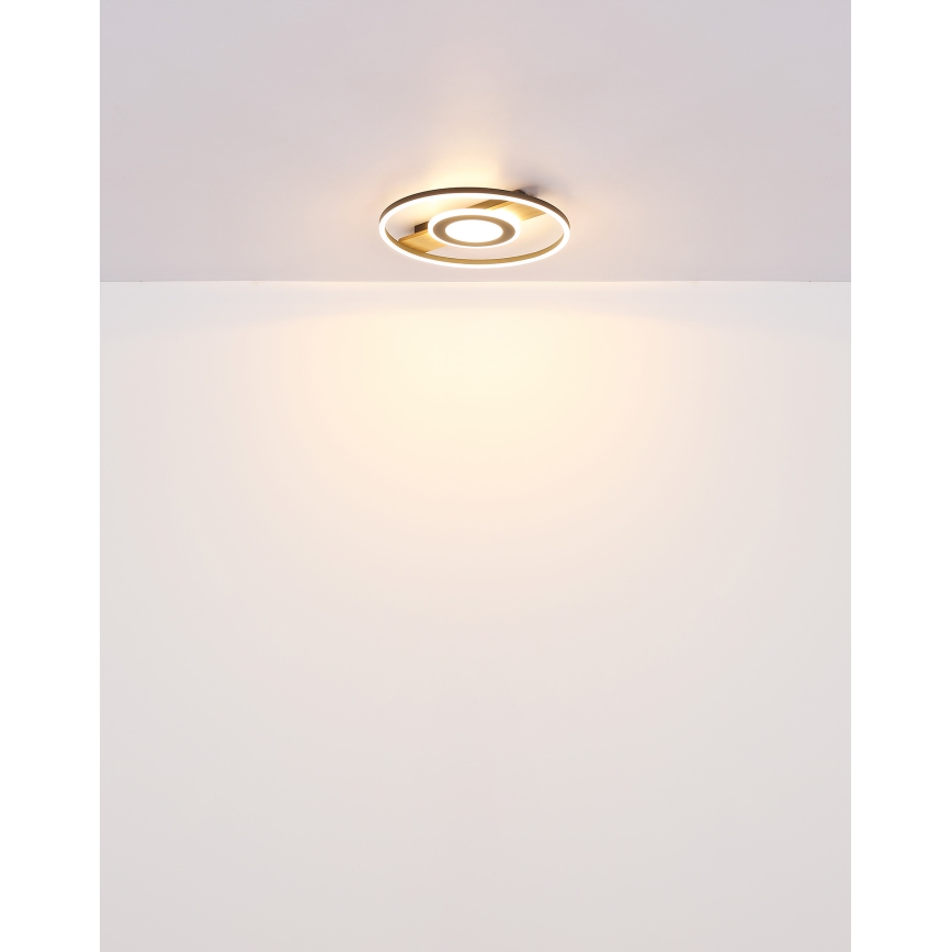 Globo - Iluminação de teto LED LED/24W/230V