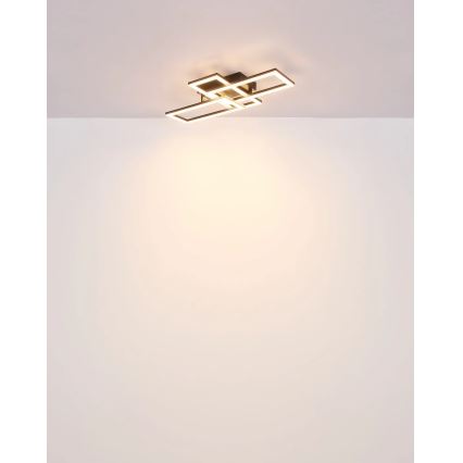 Globo - Iluminação de teto LED LED/24W/230V
