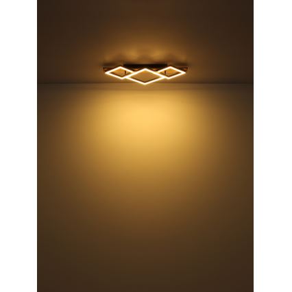 Globo - Iluminação de teto LED LED/24W/230V