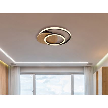 Globo - Iluminação de teto LED LED/24W/230V preto