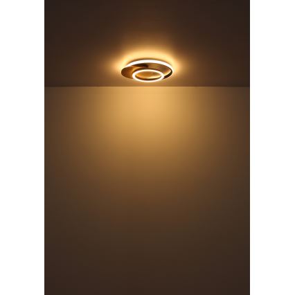 Globo - Iluminação de teto LED LED/24W/230V preto