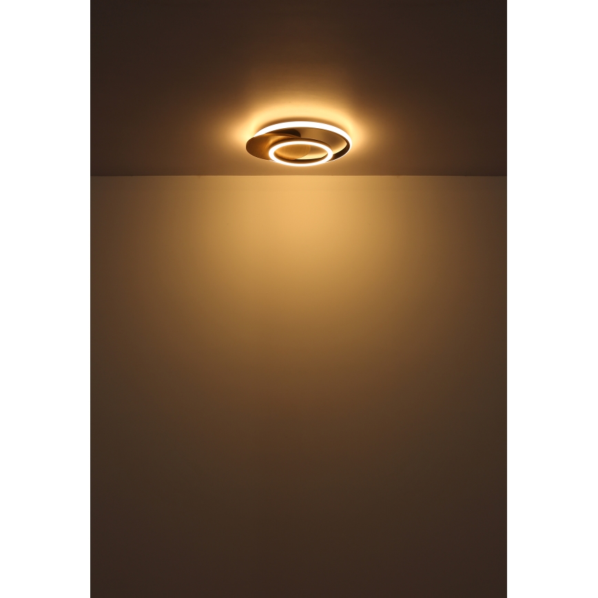 Globo - Iluminação de teto LED LED/24W/230V preto