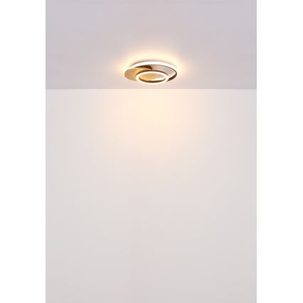 Globo - Iluminação de teto LED LED/24W/230V preto