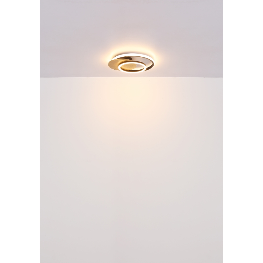 Globo - Iluminação de teto LED LED/24W/230V preto