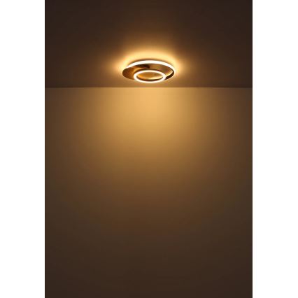 Globo - Iluminação de teto LED LED/24W/230V