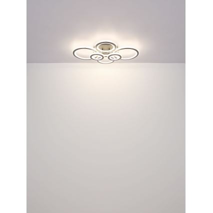 Globo - Luminária de teto LED dimmerizável LED/60W/230V 2700-6000K 56x78 cm antracite + controlo remoto