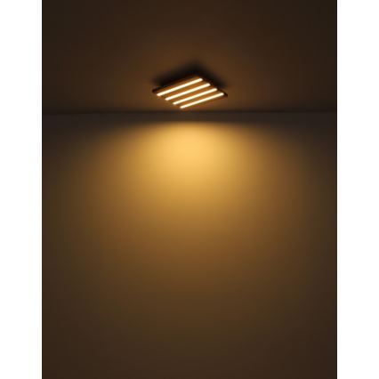 Globo - Candeeiro de tecto LED/15W/230V 3000K 30x30 cm