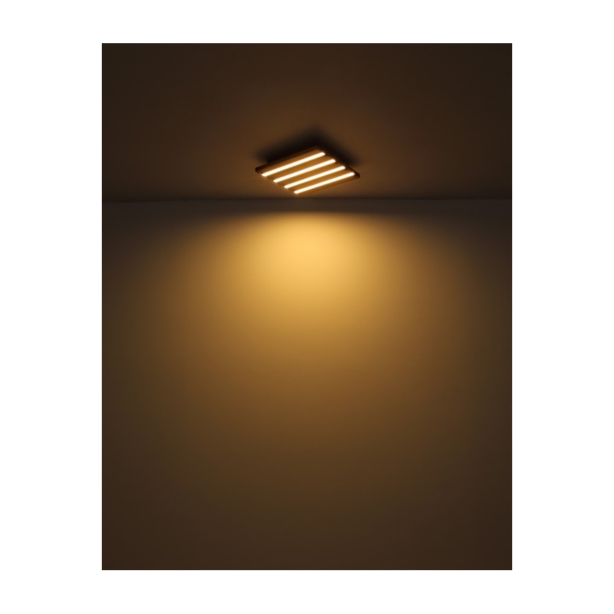 Globo - Candeeiro de tecto LED/15W/230V 3000K 30x30 cm