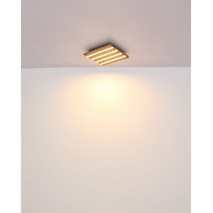Globo - Candeeiro de tecto LED/15W/230V 3000K 30x30 cm
