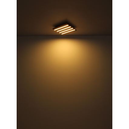 Globo - Iluminação de teto LED LED/30W/230V 3000K 45x45 cm madeira