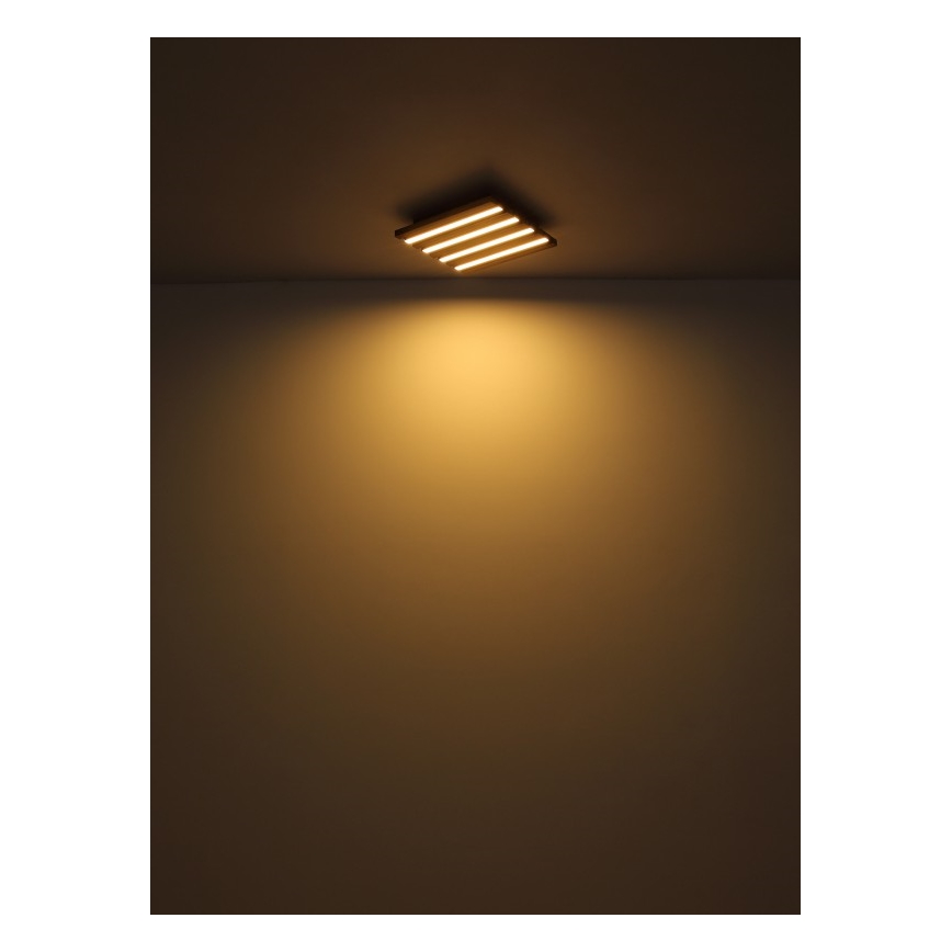 Globo - Iluminação de teto LED LED/30W/230V 3000K 45x45 cm madeira